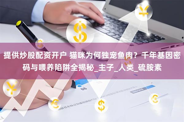 提供炒股配资开户 猫咪为何独宠鱼肉？千年基因密码与喂养陷阱全揭秘_主子_人类_硫胺素