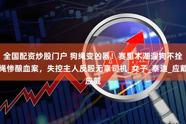 全国配资炒股门户 狗绳变凶器！赛里木湖遛狗不拴绳惨酿血案，失控主人反殴无辜司机_女子_泰迪_应戴